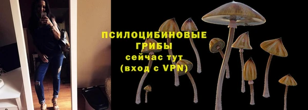 трава Алексин