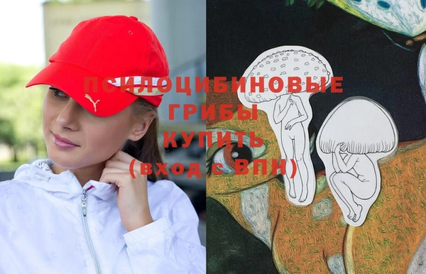амфетамин Алексеевка