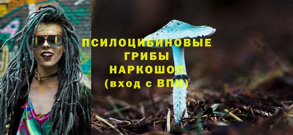 крисы Алзамай