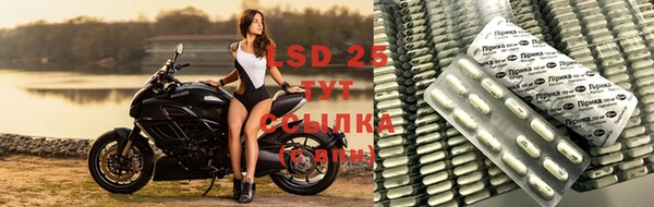 крисы Алзамай